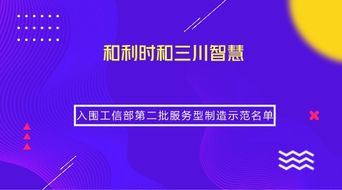 兩家儀器儀表企業榮獲工信部服務型制造示范稱號，引領信息系統集成服務新篇章
